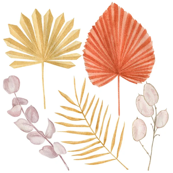 Συλλογή Εξωτικών Φύλλων Ακουαρέλας Αποξηραμένα Τροπικά Φύλλα Που Απομονώνονται Λευκό — Φωτογραφία Αρχείου