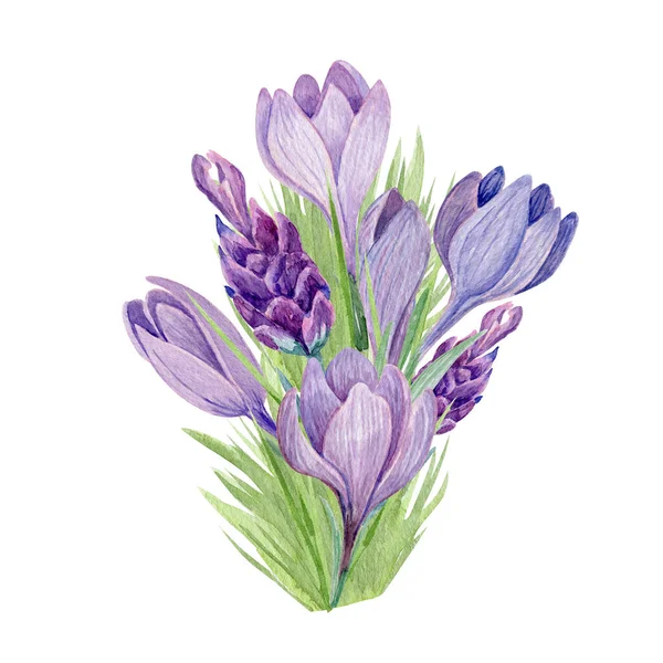 Crocus Bouquet Aquarela Ilustração Decoração Flores Primavera Roxo Isolado Fundo — Fotografia de Stock
