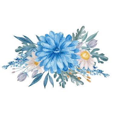 Mavi kasımpatı ve papatya çiçeği suluboya çizimi. Beyaz arkaplanda yeşil yapraklı mavi çiçekler..