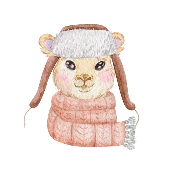 Winter Llama Portrait Watercolor Illustration Cute Llama Wearing Warm Scarf — Stock Photo, Image