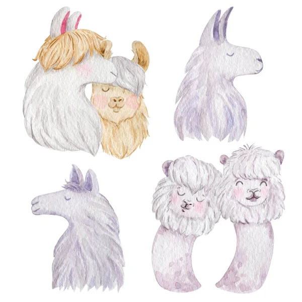 Lama çiftleri suluboya resim koleksiyonu yapıyor. Beyaz arka planda izole edilmiş şirin hayvan çiftleri..