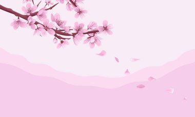 Düşen yapraklarla kiraz ağacı dalı pembe vektör arka planı. Çiçek açan sakura ile Asya arka planı..