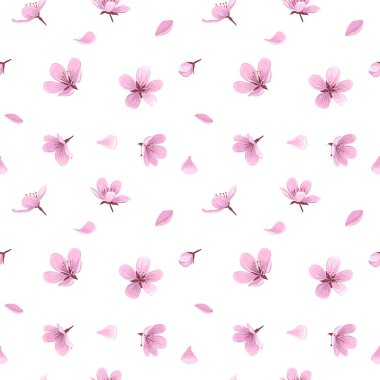 Kiraz çiçekleri ve taç yaprakları vektörsüz desen. Beyaz arka planda pembe çiçekler ve taç yaprakları. Yumuşak bahar çiçeksiz desen.