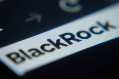 Dhaka, Bangladeş - 02 Aralık 2025: Bir dizüstü bilgisayarın yakın plan görüntüsü BlackRock web arayüzünü tarayıcıda gösteriyor.