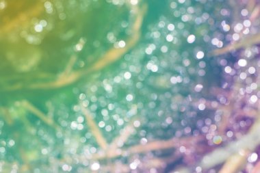 Daireler, Güneş ışınları ufuk bokeh bulanıklık parlak. Çok renkli - yeşil ve mor doku, arka plan.