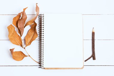 Sketchbooks beyaz, ahşap zemin, üstten görünüm üzerine kalem ile. Tonlu görüntü, film etkisi.