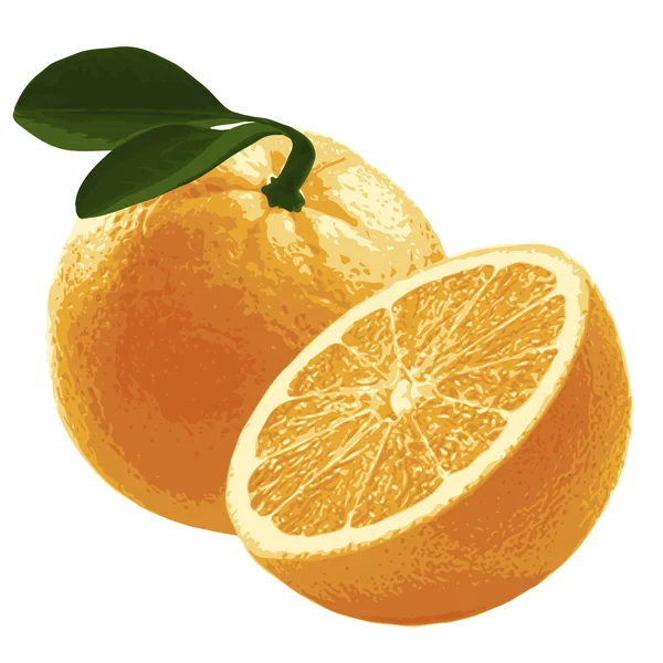 Orange avec feuilles vertes — Image vectorielle