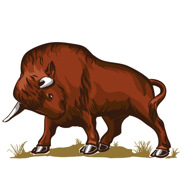 Bisonte toro bufalo — Vettoriale Stock