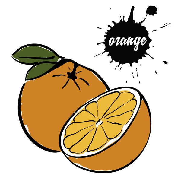 Frukt mogna orange — Stock vektor