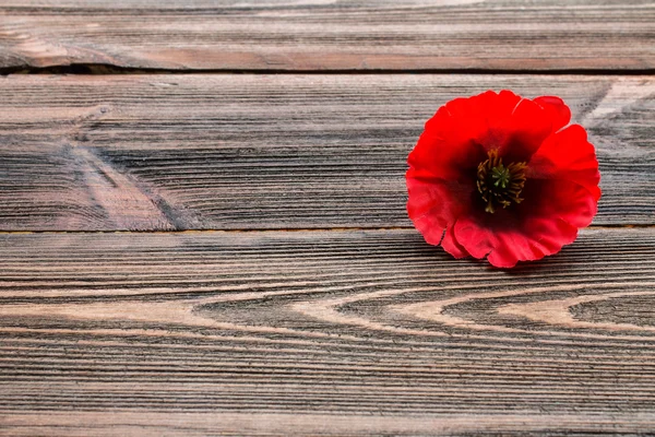 Memorial day, concept — Stock Photo, Image