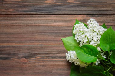 Ahşap arka plandaki güzel leylak