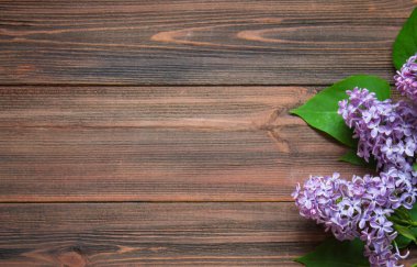 Kahverengi ahşap arka plan üzerinde beyaz leylak