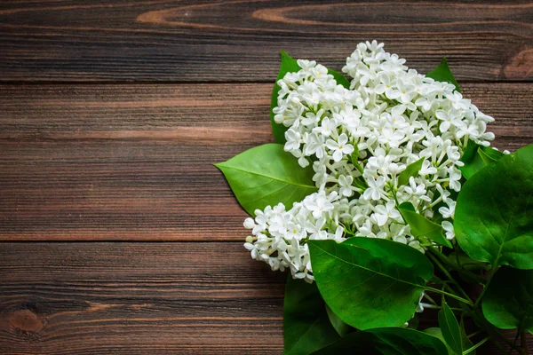 Ahşap arka plandaki güzel leylak