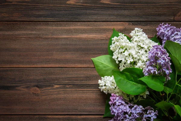 Lila blanca sobre fondo de madera marrón — Foto de Stock