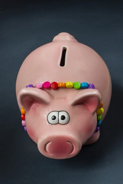 Pig piggy bank on a gray background