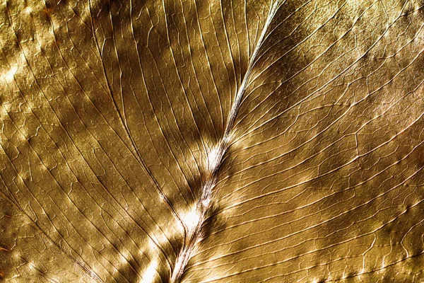 Struktura Monstrózního Listu Pomalovaného Zlatou Barvou Zlatý Vzor Abstraktní Pozadí — Stock fotografie