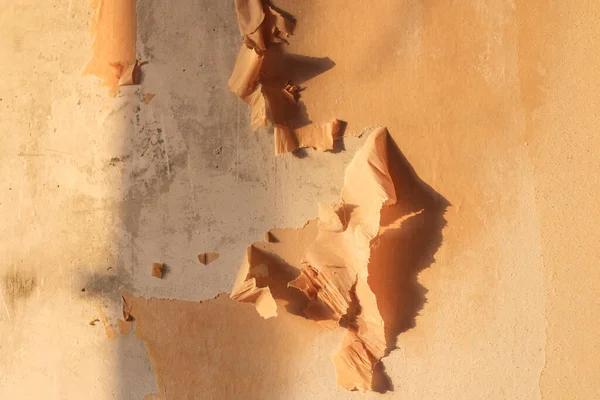 Man Removes Old Wallpaper Spatula Spray Bottle Water — Stock Photo, Image