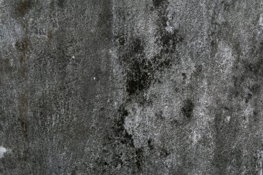 Duvar kağıdından yapılmış gri beton duvar. Somut arkaplan.