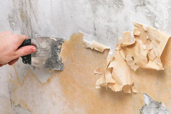 한 남자가 시로 낡은 벽지를 제거하고 병에 물을 뿌리는 모습. — 스톡 사진