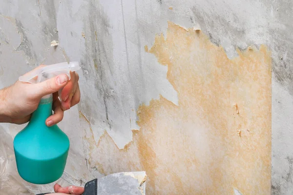 Bir adam eski duvar kağıdını bir spatulayla ve şişeyi suyla temizler..