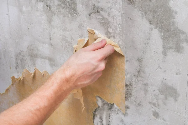 Um homem remove papel de parede velho com uma espátula e spray garrafa com água. — Fotografia de Stock