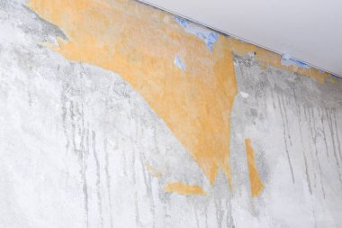 Bir adam eski duvar kağıdını bir spatulayla ve şişeyi suyla temizler..