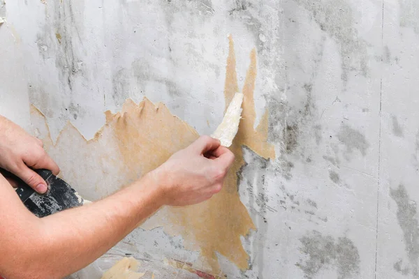 한 남자가 시로 낡은 벽지를 제거하고 병에 물을 뿌리는 모습. — 스톡 사진