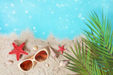 Tropik yaz. Deniz kabukları, deniz yıldızları. Tropik yapraklar. Yaz zamanı. Tatil