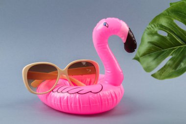Gri arka planda, güneş gözlüğü ve canavar yapraklı pembe şişirilebilir flamingo..