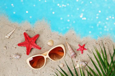 Tropik yaz. Deniz kabukları, deniz yıldızları. Tropik yapraklar. Yaz zamanı. Tatil