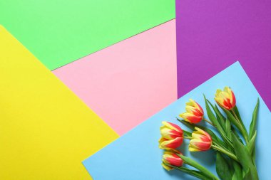 8 Mart Anneler Günü, Sevgililer Günü için hediye olarak bir buket lale. Paskalya dekoru.