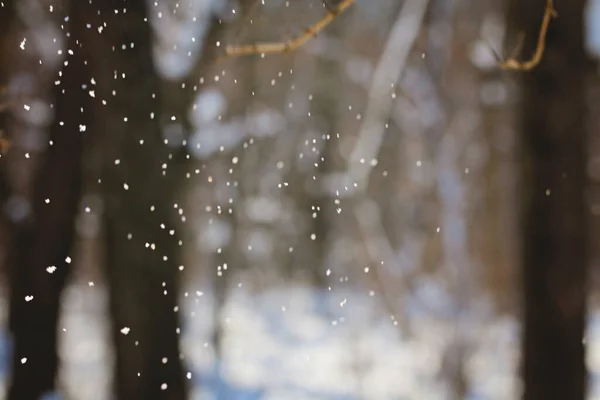 Snowfall. Winter snow. Snow texture. Texture design. Snowy white texture. Snowflakes.