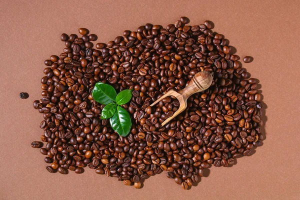 Roasted brown coffee beans on a brown background. — Stock Photo, Image