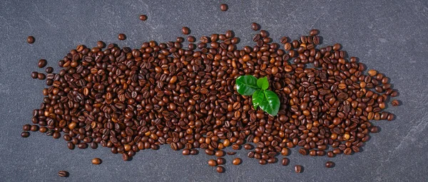 Grãos de café marrom torrados em um fundo cinza. — Fotografia de Stock