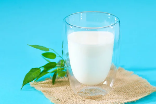 Un vaso de leche sobre fondo azul. Productos lácteos. —  Fotos de Stock