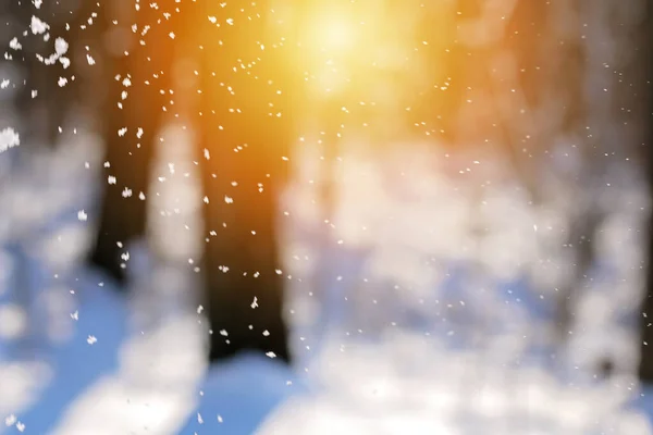 Nevadas. Nieve de invierno. Textura de nieve. Diseño de texturas. Textura blanca y nevada. Copos de nieve. —  Fotos de Stock