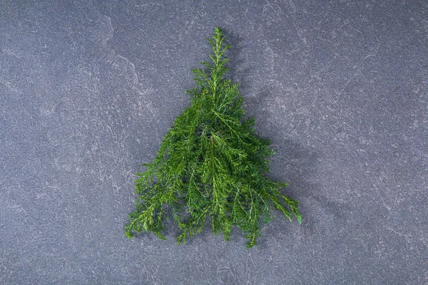 クリスマスツリーはヒノキの枝を作った。新年、クリスマスポストカード. — ストック写真