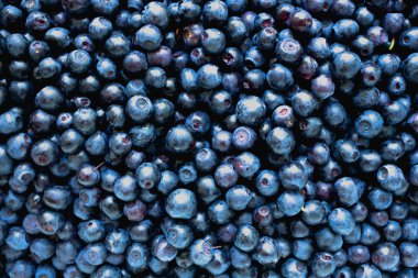 Yaz bilberry arka plan