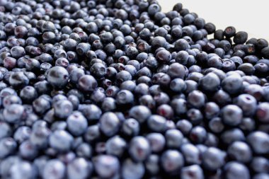 Yaz bilberry arka plan