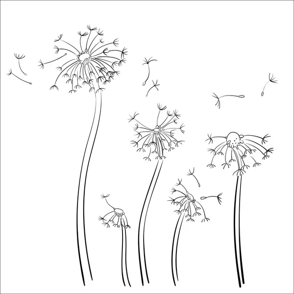 Dandelion desenhado à mão, decorativo preto mão esboçado rústico Flora, Ramos, Elementos de design. Desenho de mão Vector Ilustração . —  Vetores de Stock