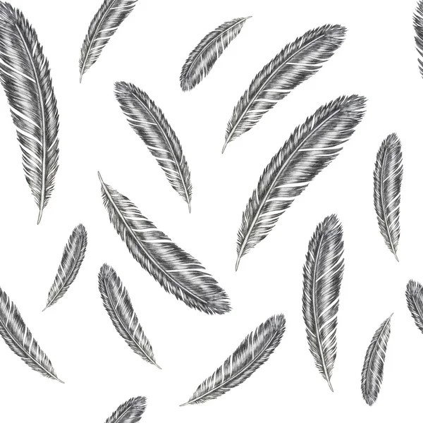 Hand drawn feather illustration. Feather pattern on white background. — Stock Photo, Image