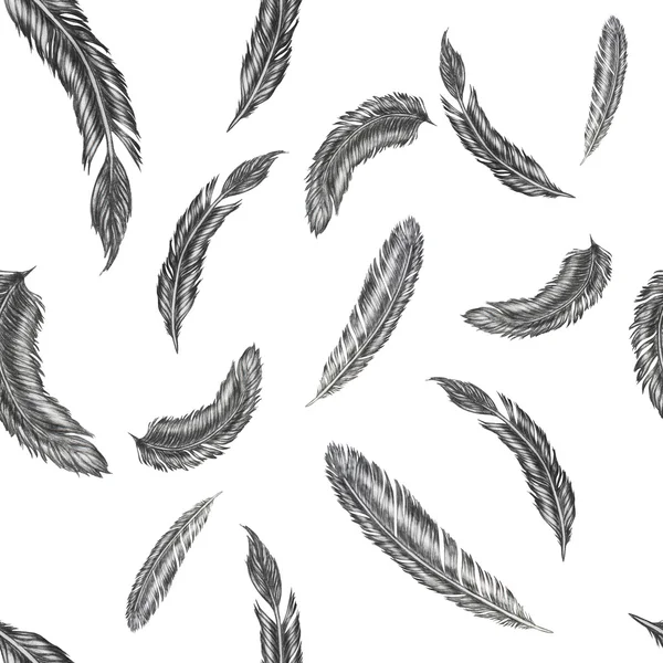 Hand drawn feather illustration. Feather pattern on white background. — Stock Photo, Image