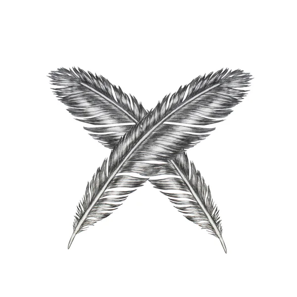 Φτερό σύνολο, ρετρό μοτίβο. Στυλό χέρι συρμένη απεικόνιση με φτερά, σε λευκό φόντο — Φωτογραφία Αρχείου