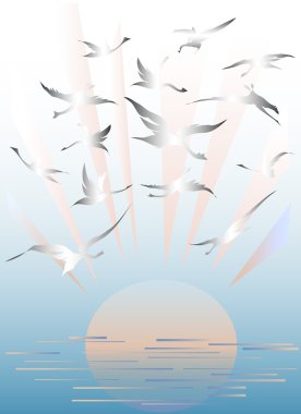 Güneş, günbatımı, Sunrise Kuşlar sürüsü