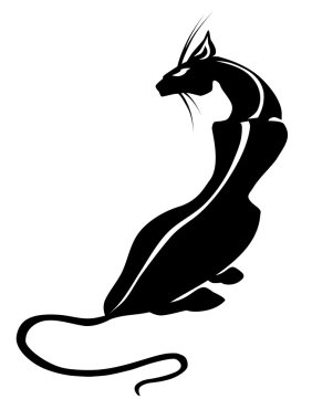 Panter, siyah kedi, dövme