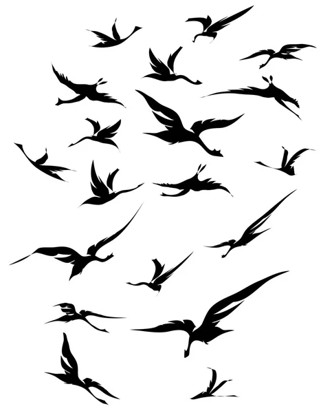 Bandada de aves, negro sobre fondo blanco — Vector de stock