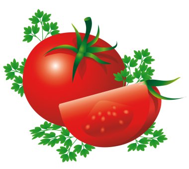 Otlar ile kırmızı olgun domates. sağlıklı yaşam tarzı veya diyet tasarımı. Maydanozlu salata için ayarlayın. Vektör çizimi.