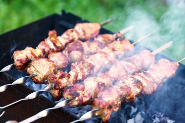 pork kebab meat roasted skewers meat, barbecue, grill meat clipart