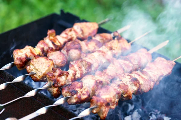 Pork Kebab Meat Roasted Skewers Meat Barbecue Grill Meat — Stock Photo, Image