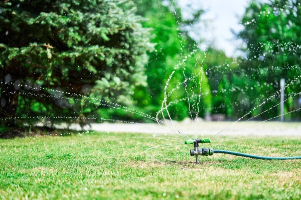 Sprinkler spay water green grass dry grass Irrigation system — Stock Photo, Image